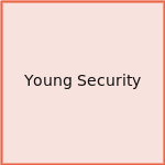 Young Security